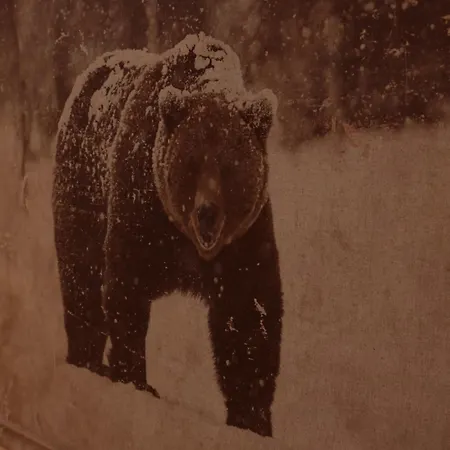 Le Nid De Beauregard דירה