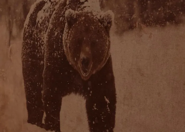 Le Nid De Beauregard Апартаменты